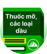 Thuốc mỡ, các loại dầu